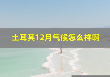 土耳其12月气候怎么样啊