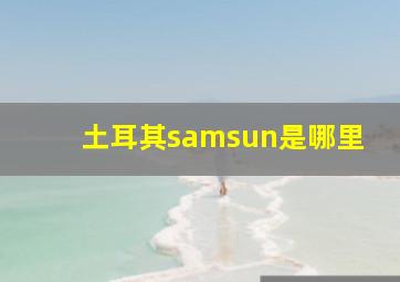 土耳其samsun是哪里