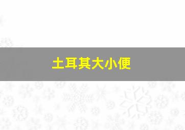 土耳其大小便