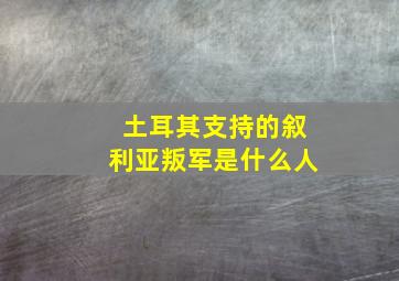 土耳其支持的叙利亚叛军是什么人