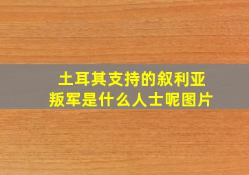 土耳其支持的叙利亚叛军是什么人士呢图片