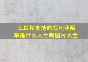 土耳其支持的叙利亚叛军是什么人士呢图片大全