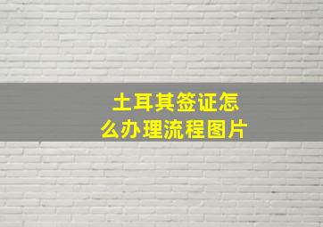 土耳其签证怎么办理流程图片