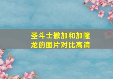 圣斗士撒加和加隆龙的图片对比高清