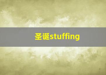 圣诞stuffing