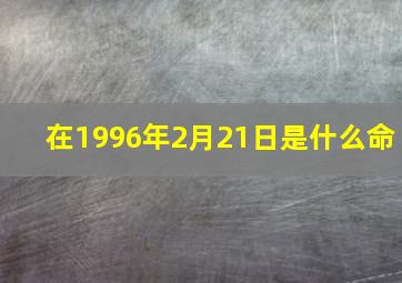 在1996年2月21日是什么命