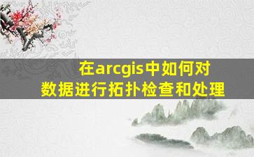 在arcgis中如何对数据进行拓扑检查和处理