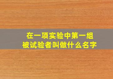 在一项实验中第一组被试验者叫做什么名字