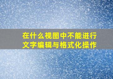 在什么视图中不能进行文字编辑与格式化操作