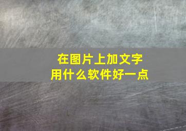 在图片上加文字用什么软件好一点