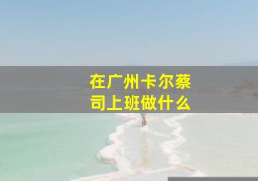 在广州卡尔蔡司上班做什么