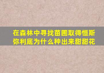 在森林中寻找苗圃取得恒斯弥利底为什么种出来甜甜花