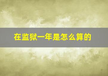 在监狱一年是怎么算的