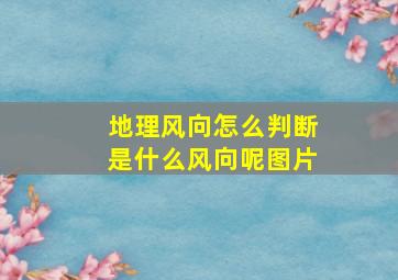 地理风向怎么判断是什么风向呢图片