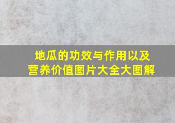 地瓜的功效与作用以及营养价值图片大全大图解