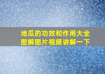 地瓜的功效和作用大全图解图片视频讲解一下