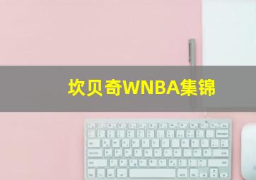 坎贝奇WNBA集锦