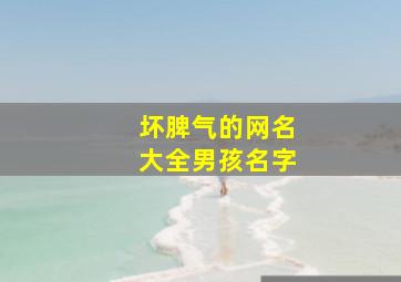 坏脾气的网名大全男孩名字