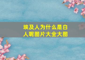 埃及人为什么是白人呢图片大全大图