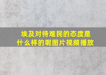 埃及对待难民的态度是什么样的呢图片视频播放