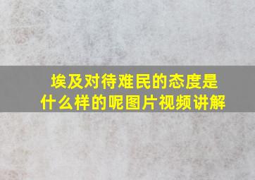 埃及对待难民的态度是什么样的呢图片视频讲解