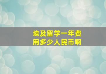 埃及留学一年费用多少人民币啊