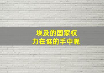 埃及的国家权力在谁的手中呢