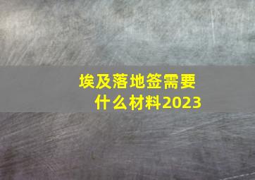 埃及落地签需要什么材料2023