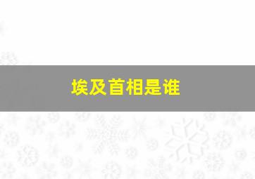 埃及首相是谁