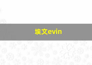 埃文evin