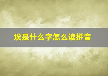 埃是什么字怎么读拼音