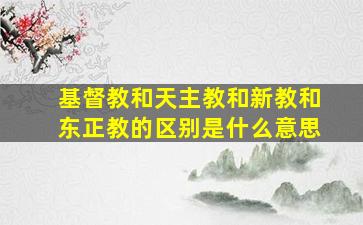 基督教和天主教和新教和东正教的区别是什么意思