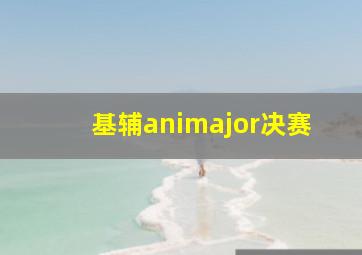 基辅animajor决赛