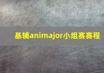 基辅animajor小组赛赛程