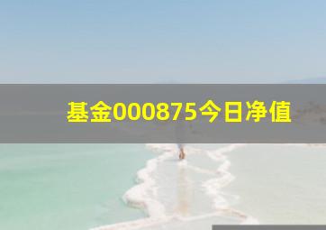 基金000875今日净值