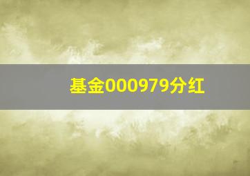 基金000979分红