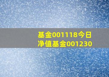 基金001118今日净值基金001230