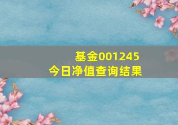 基金001245今日净值查询结果