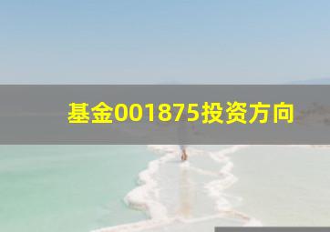 基金001875投资方向