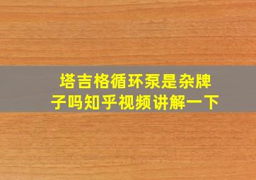 塔吉格循环泵是杂牌子吗知乎视频讲解一下