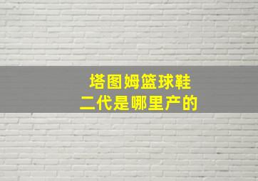 塔图姆篮球鞋二代是哪里产的