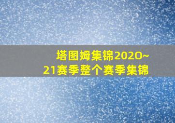 塔图姆集锦202O~21赛季整个赛季集锦