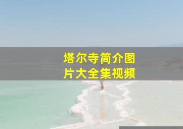 塔尔寺简介图片大全集视频