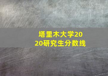 塔里木大学2020研究生分数线