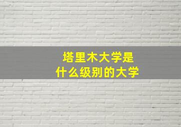 塔里木大学是什么级别的大学