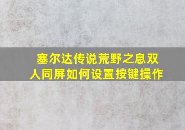 塞尔达传说荒野之息双人同屏如何设置按键操作