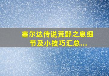 塞尔达传说荒野之息细节及小技巧汇总...