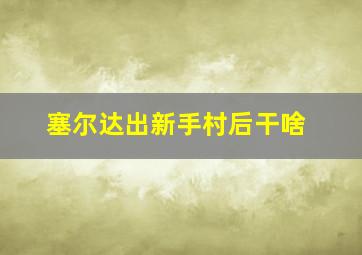 塞尔达出新手村后干啥