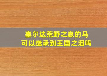 塞尔达荒野之息的马可以继承到王国之泪吗