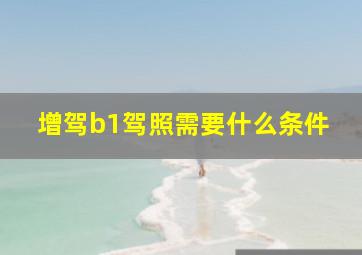 增驾b1驾照需要什么条件